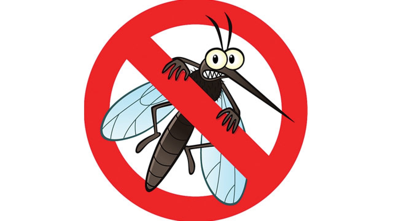 South civic body issues advisory to control mosquito menace