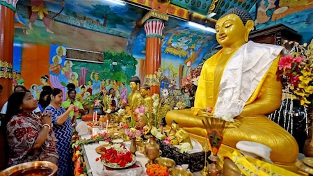 Worshipping Buddha  (PTI)