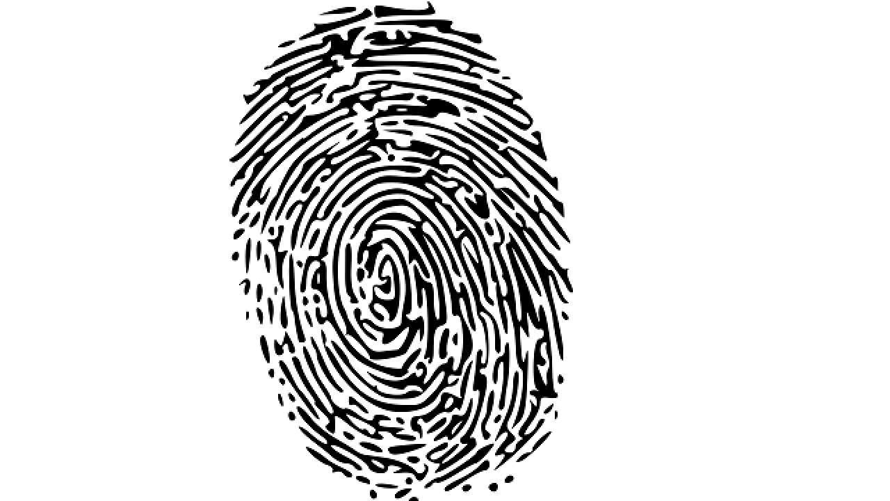 Paper 'fingerprints' can prevent of documents
