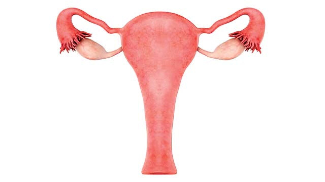 India s First Uterus Transplant Recipients Pass Critical Rejection Period