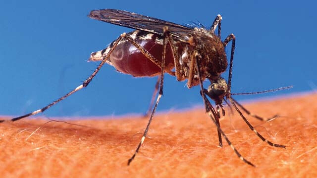 Zika virus Government issues national advisory
