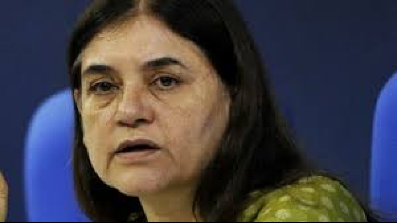 Maneka Gandhi to undergo gall bladder surgery, confirms ...