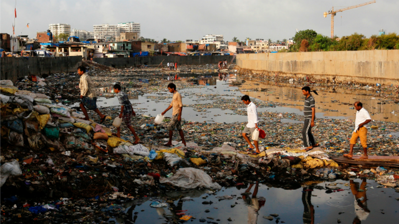 Polluted water bodies