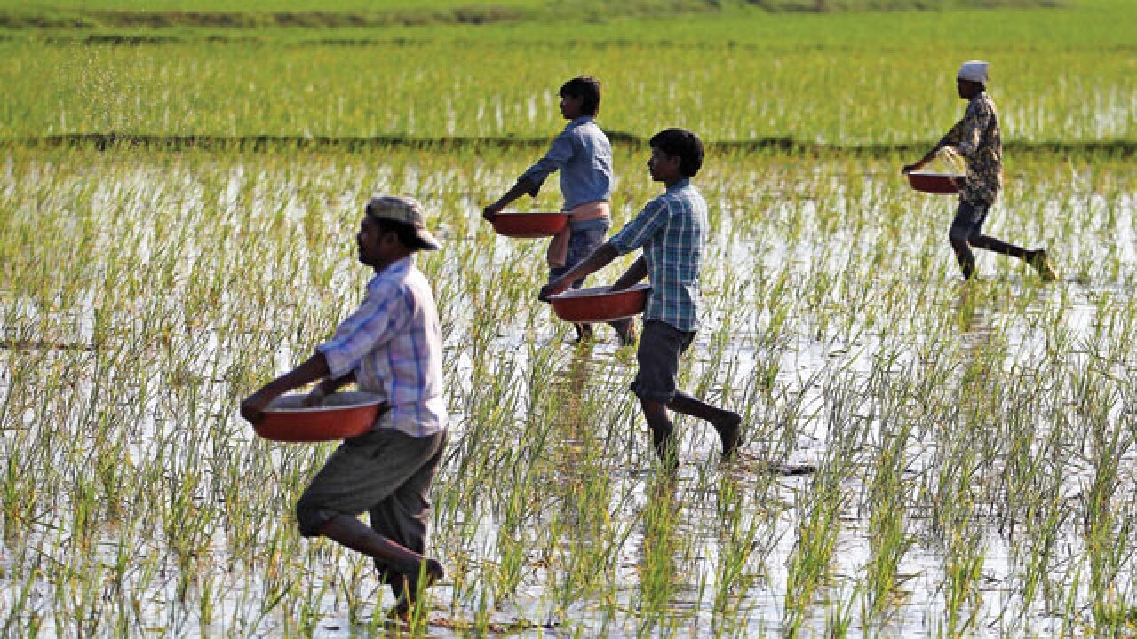 For Modi, farmer is foremost, writes Venkaiah Naidu