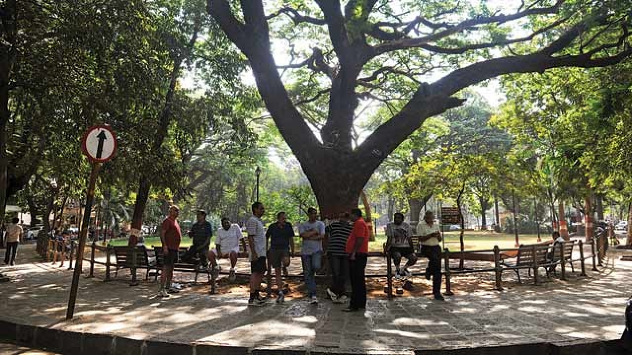 Dadar Parsi Colony residents oppose wider roads at the cost of gardens