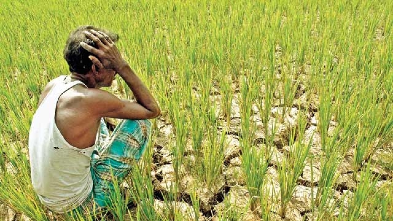 Farmers Problems Meaning In Telugu