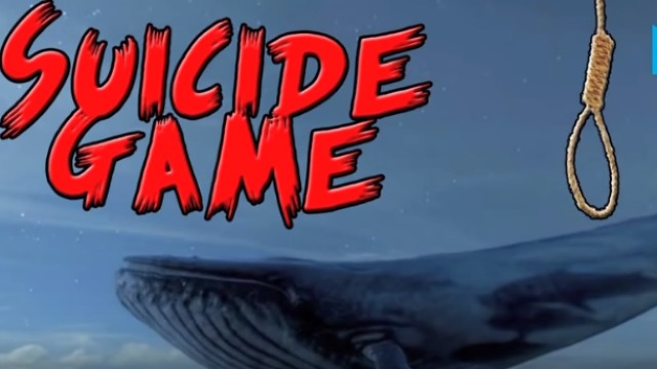 Uproar in Rajya Sabha against online games like 'Blue Whale'