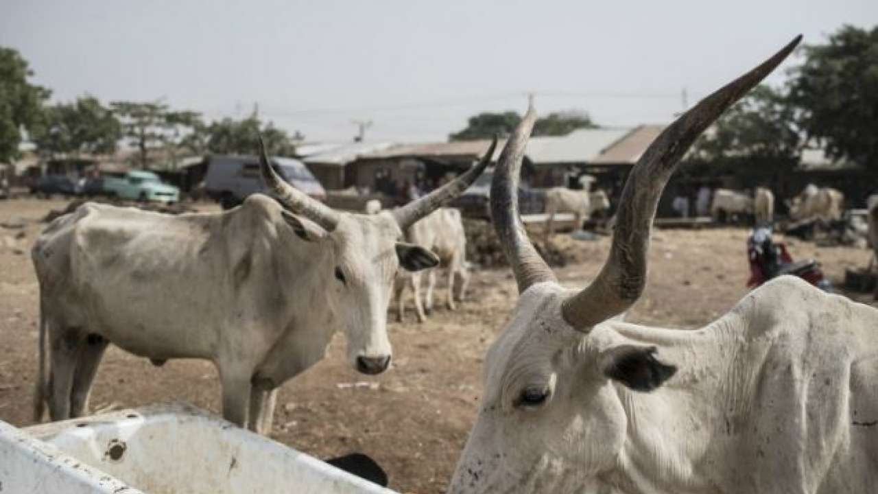 West Bengal: Beef dealers association president asks members to avoid ...