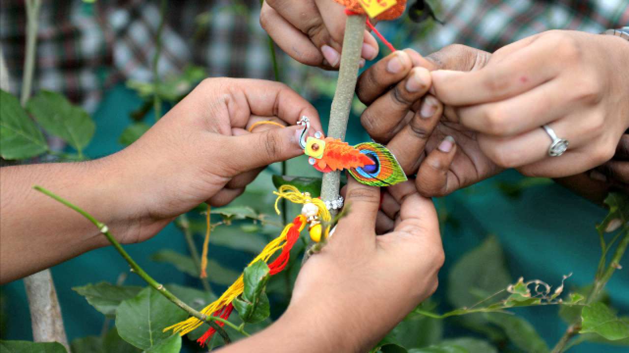 Girl tying rakhi onto plant