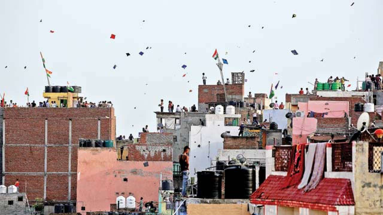 Passion for flying kites soars on I-Day