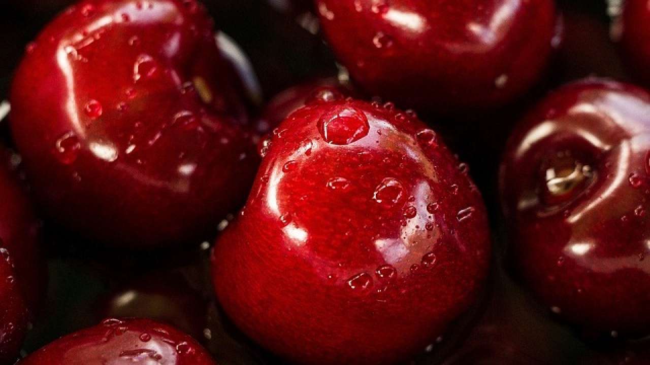 Modern apples originated in Kazakhstan Study