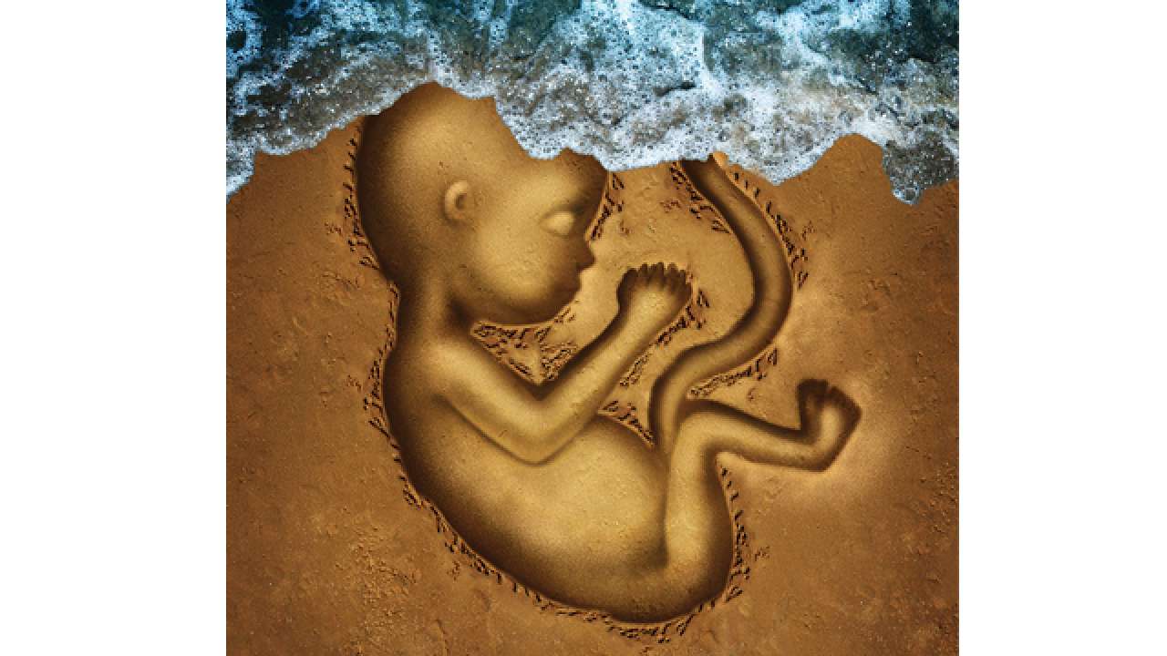 Solapur sex-determination case: Accused doctors aborted 41 foetuses