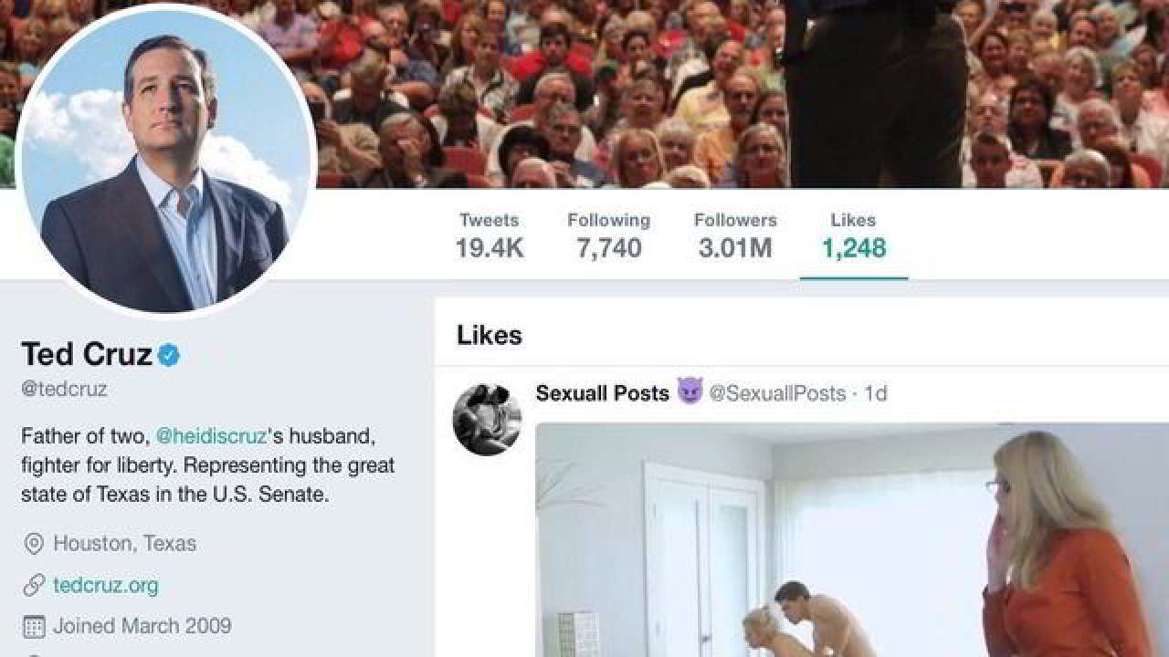 Getting Caught Watching Porn - Ted Cruz was caught watching porn on Twitter and the internet can't keep  calm!