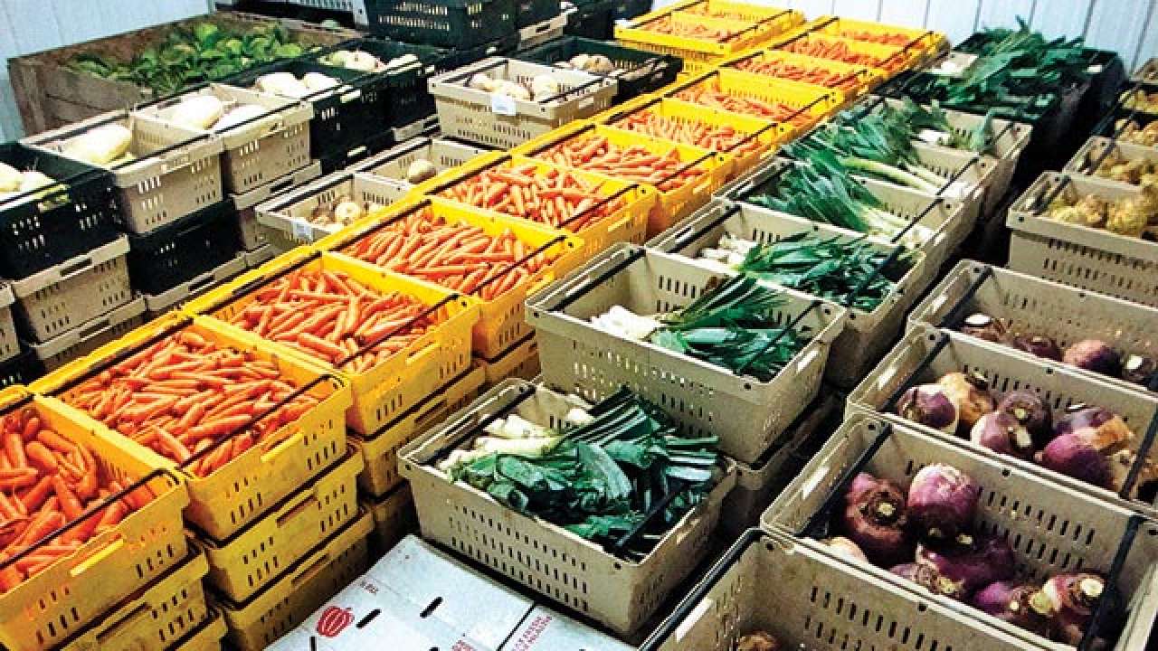Maharashtra Mulls Solar based Power Supply To Cold Storage At