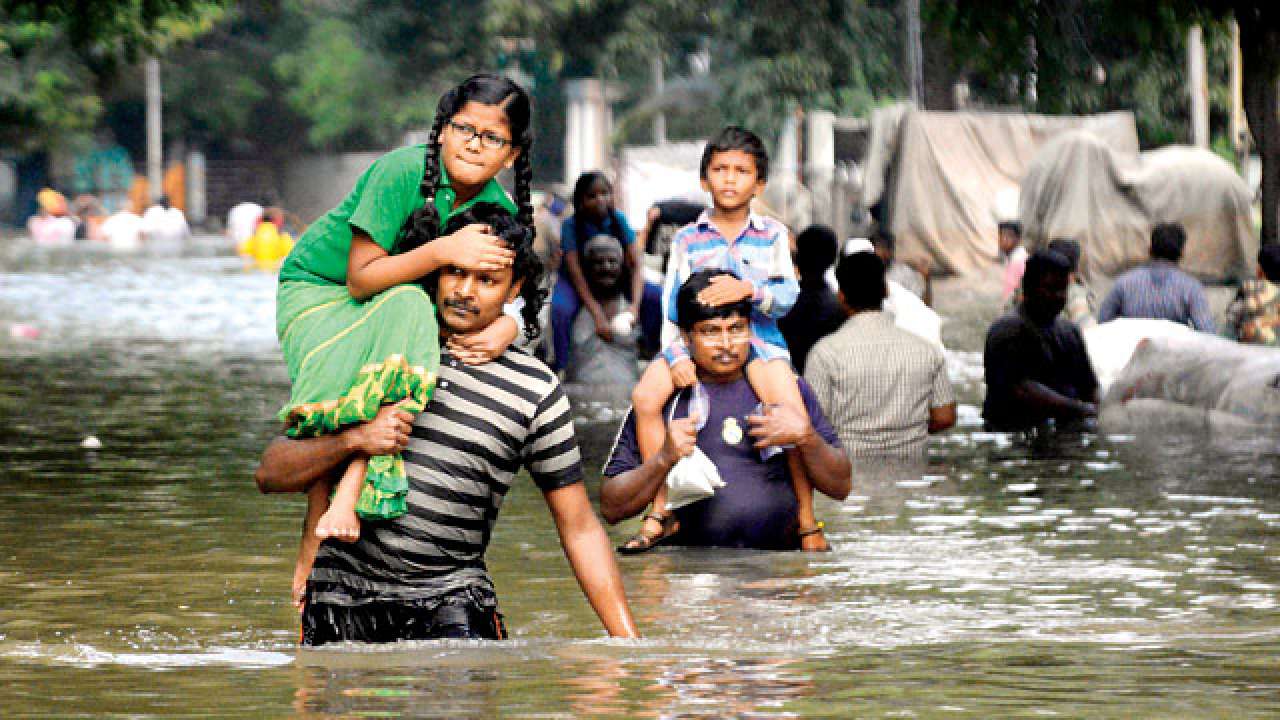 Choked cities go under: DNA examines how vanishing water bodies & green ...