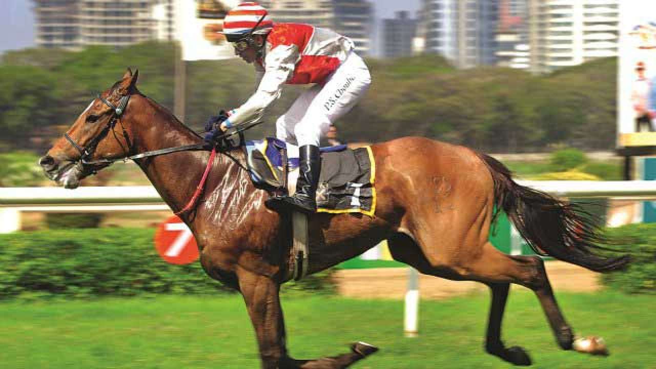 In Pictures Indian Derby at the Mahalaxmi Race Course