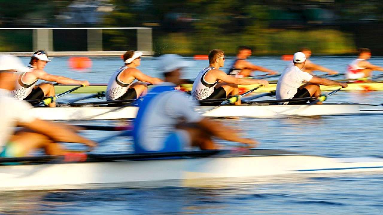 Regatta