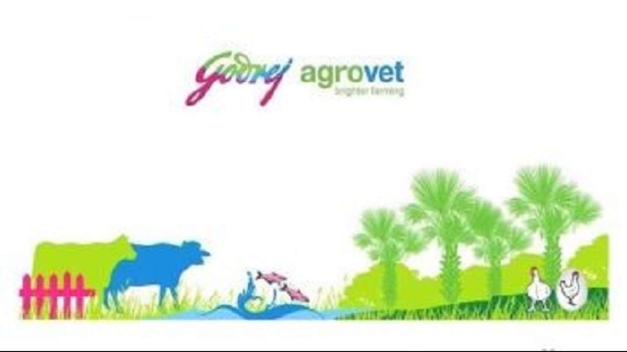 Rs 1,157 crore Godrej Agrovet IPO kicks off, brokerages say 'subscribe'