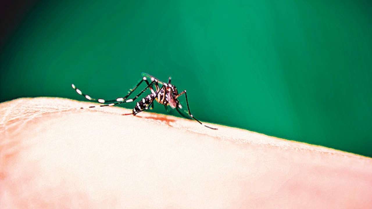 622 cases of vector-borne diseases reported in 2 weeks
