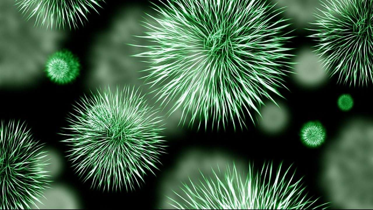 Scientists reveal how bacteria develop antibiotic resistance