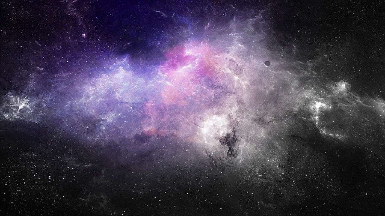 These are the animals that are still being sent into space! These are the animals that are still being sent into space!