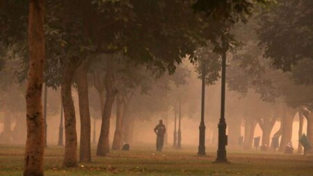 Public park on smoggy morning