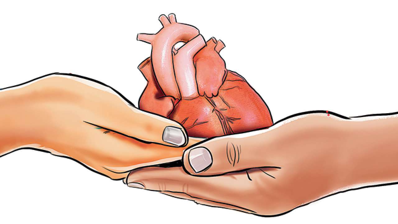 Донорство тканей. Трансплантация сердца.
