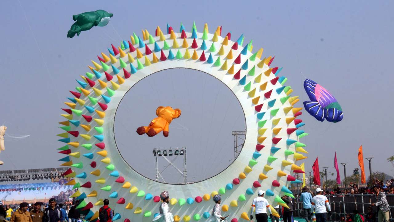 Lion King takes to the sky