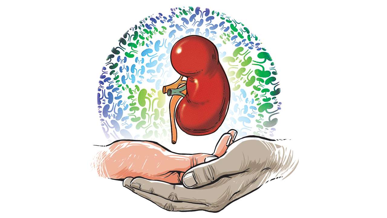 Hope Registry, portal for easy kidney transplant, Hope Registry, portal for kidney  transplantation, organ transplant, latest news