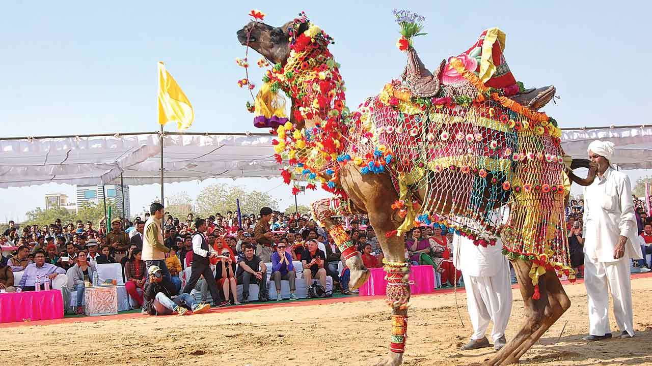 For tourists, Bikaner's Camel Festival adds heritage walk charm