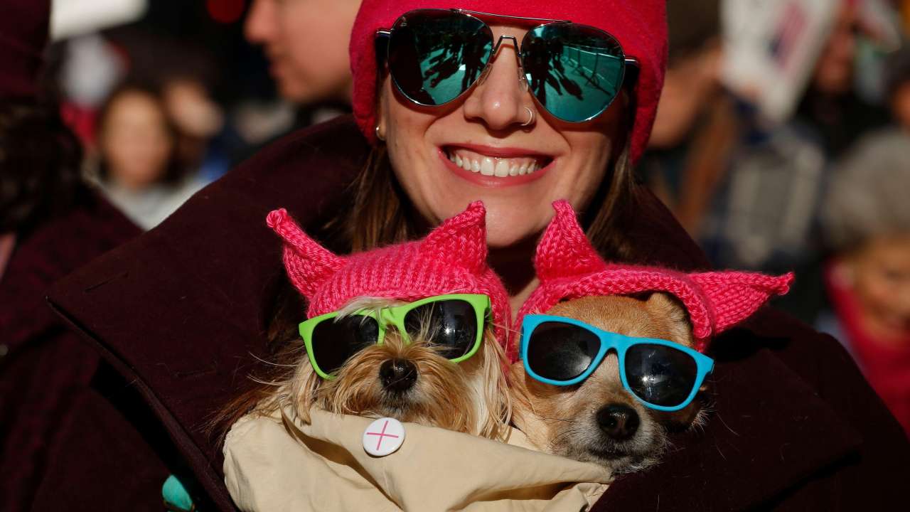 Dogs protest as well