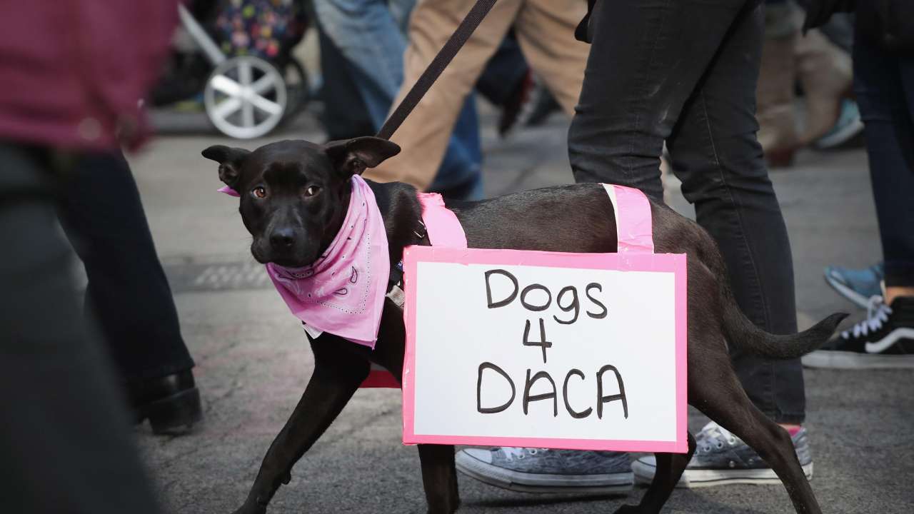 Women's march