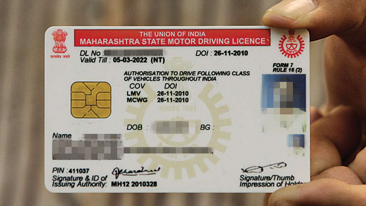 international driving license