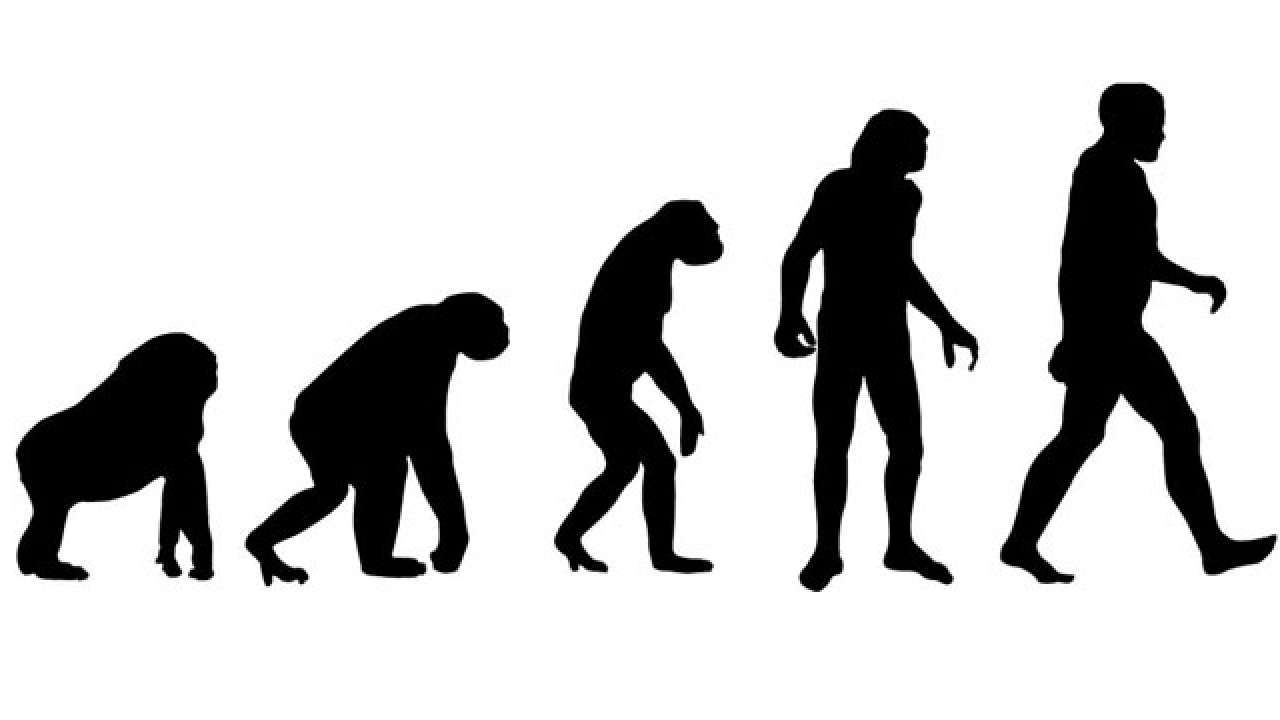 evolution darwin theory charles scientists ape decode minister comment after science representational