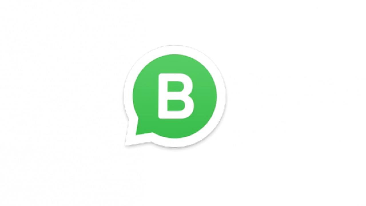 whatsapp business pc download