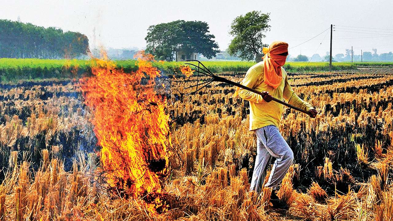 Haryana farming