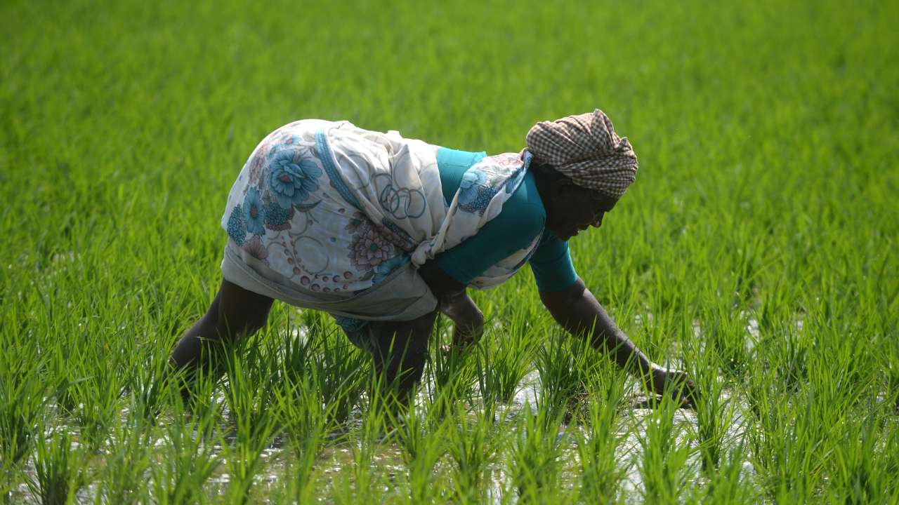 Farmers