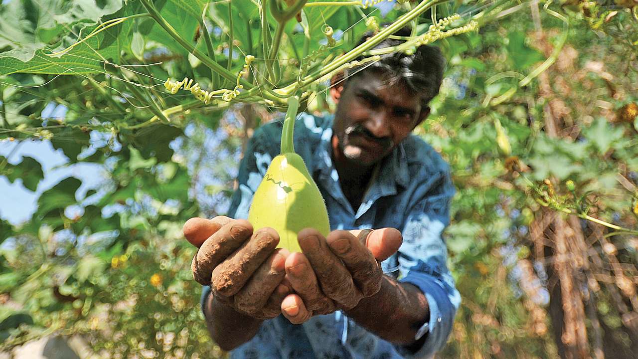 Maharashtra issues guidelines to avoid diversion of csr funds