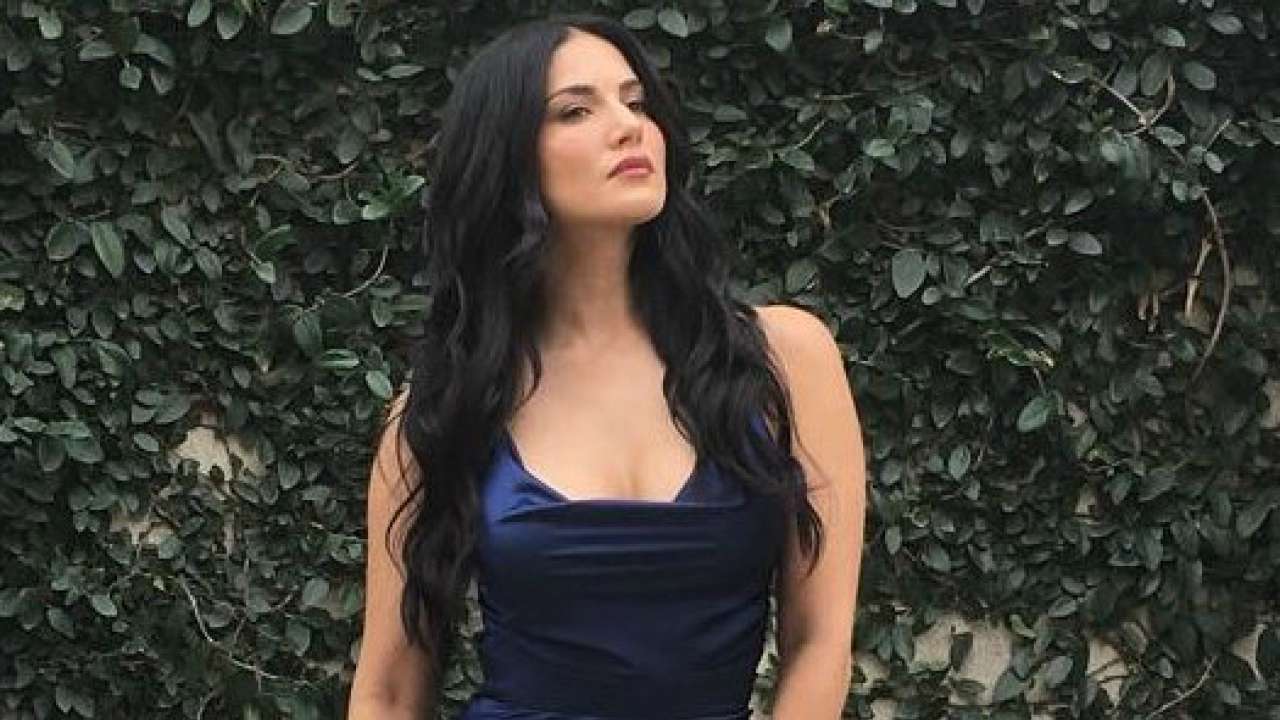 Sunny Leone Giant Adventure - No one is looking at my crop now': Andhra farmer puts up Sunny Leone's  poster to ward off 'evil eye'