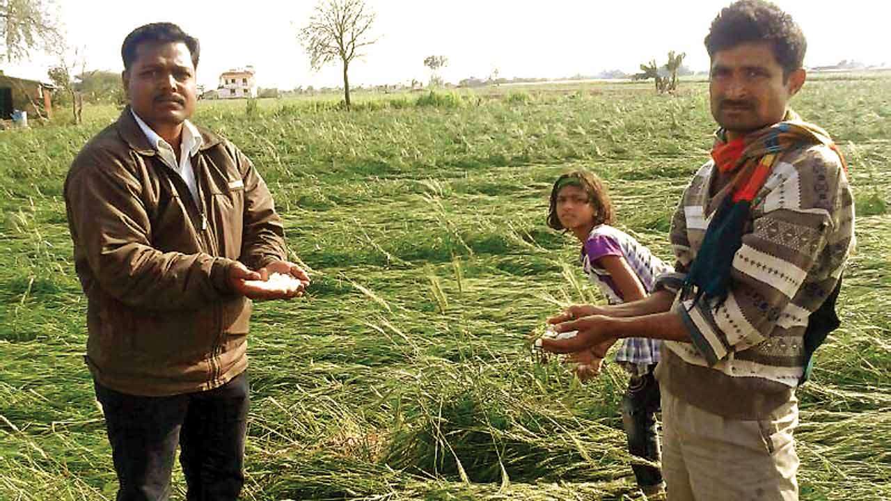 An action plan for hailstorms