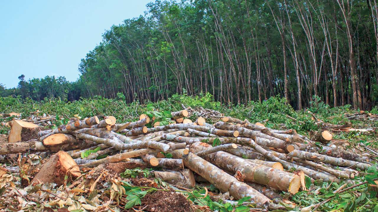  MoEFCC Raises Concerns Over Orissa Diverting Forest Land To Non-Forest Usage