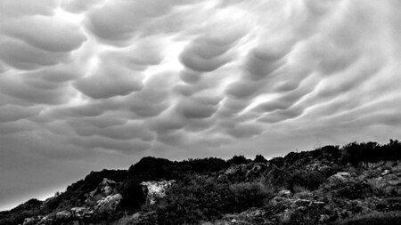 Mammatus clouds