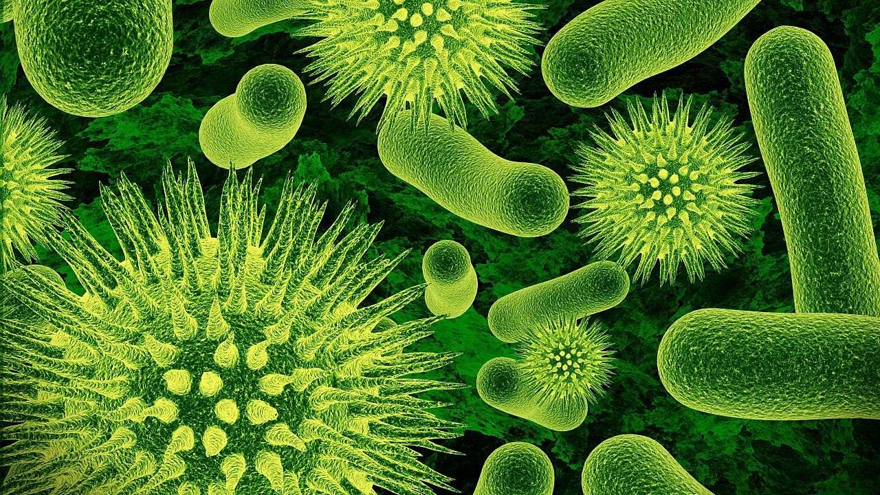 ancient origins of viruses discovered