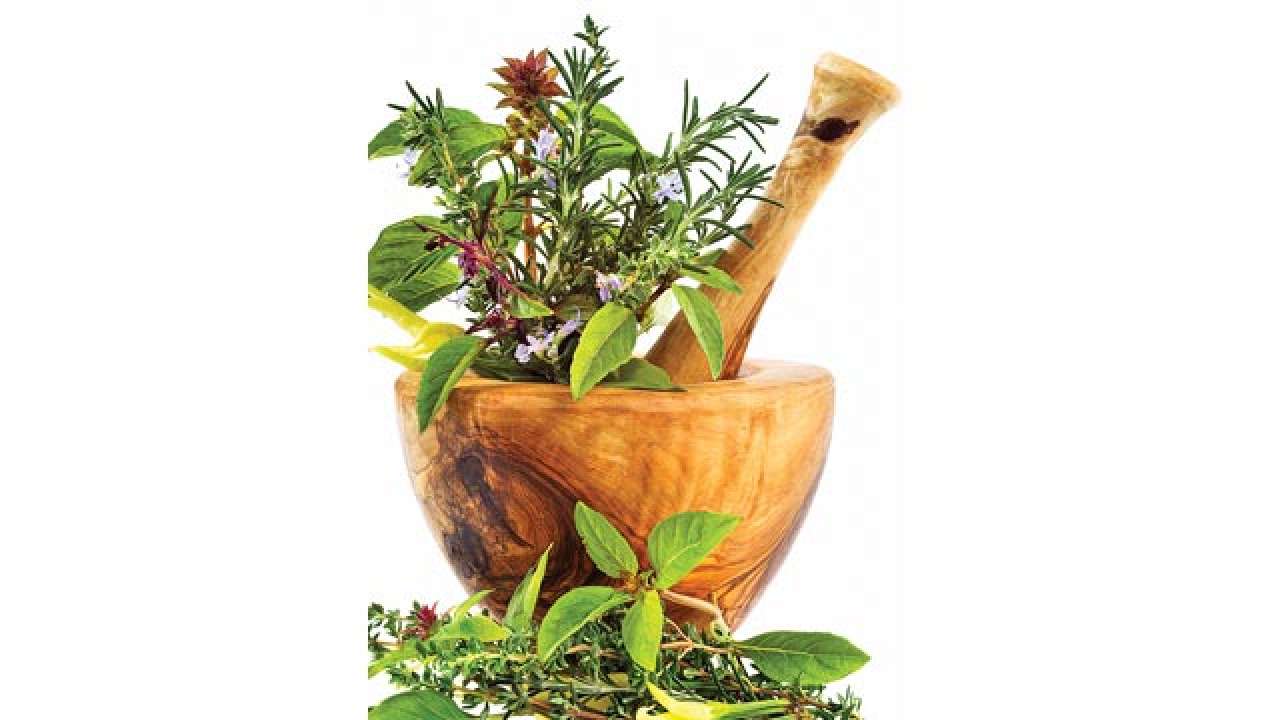 Ayurveda is future, but budget allocation is stuck in past