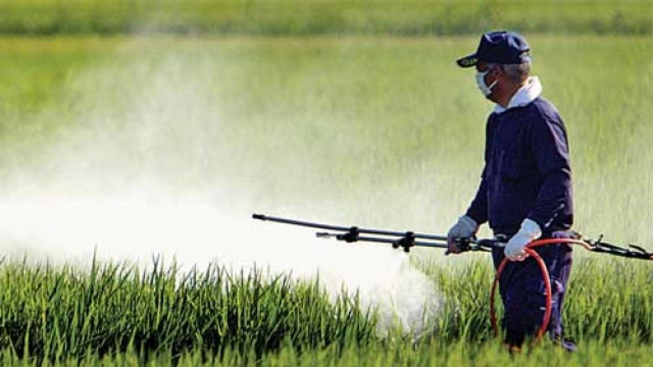 At least 99 pesticides should have been banned in India Supreme Court