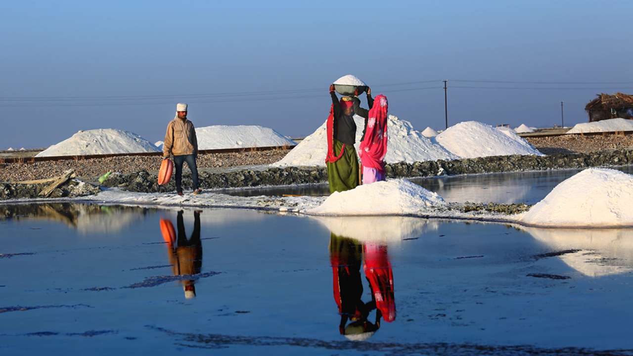 Reality Check Sambhar Lake May Cease To Exist In Few Years