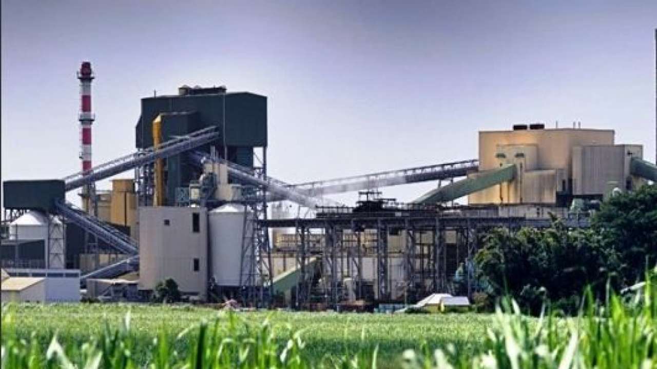 Image result for chadha sugar mill