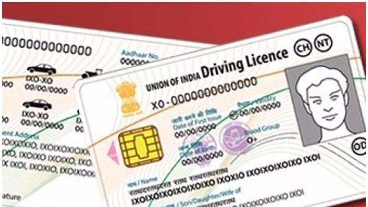 Image result for driving licence