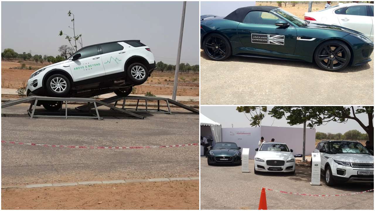 Jaguar prowls Jaipur streets, flexes muscles