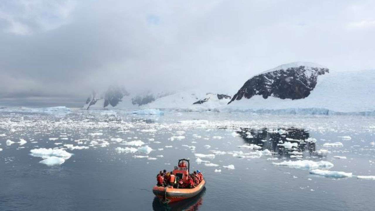 Plastic waste in Antarctica reveals increasing global pollution: Greenpeace